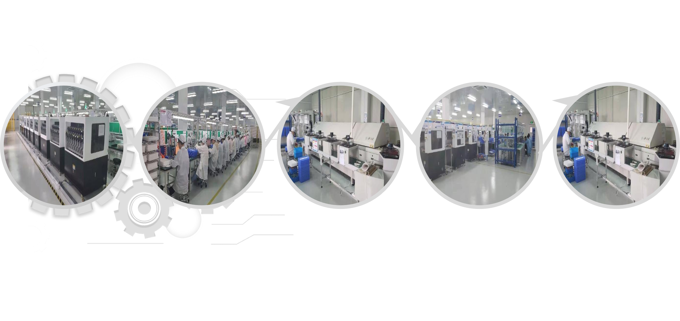 z6com-�й�Ψһ����